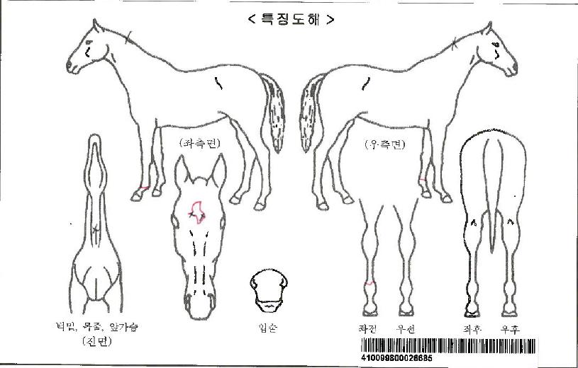 ��������ϵ��ڸ��� ����,���,�޸�,�λ�,�ٸ��� Ư¡����