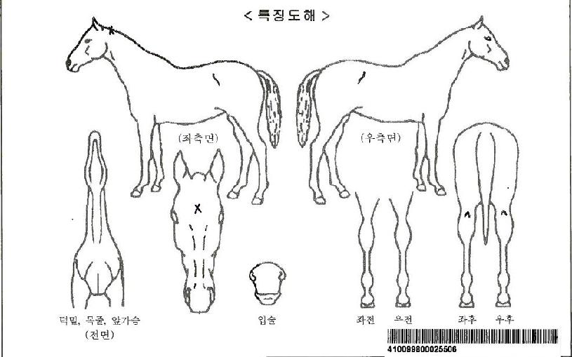 ���Ϳ���ڸ��� ����,���,�޸�,�λ�,�ٸ��� Ư¡����