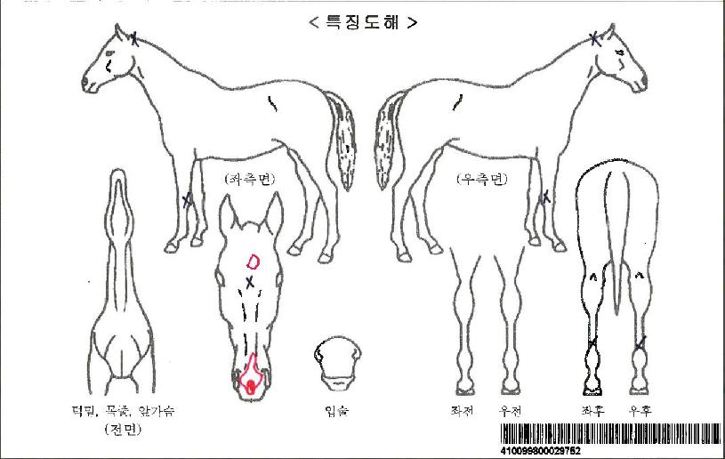 �ο������ڸ��� ����,���,�޸�,�λ�,�ٸ��� Ư¡����