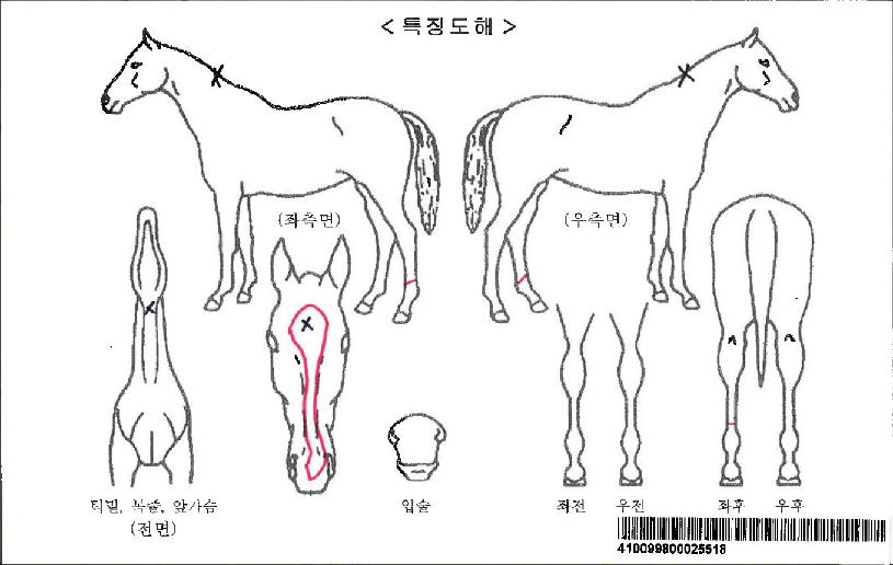 ��������Ÿ�յ��ڸ��� ����,���,�޸�,�λ�,�ٸ��� Ư¡����