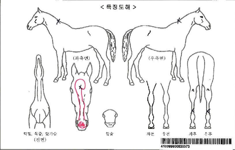 ���ƶ����ڸ��� ����,���,�޸�,�λ�,�ٸ��� Ư¡����