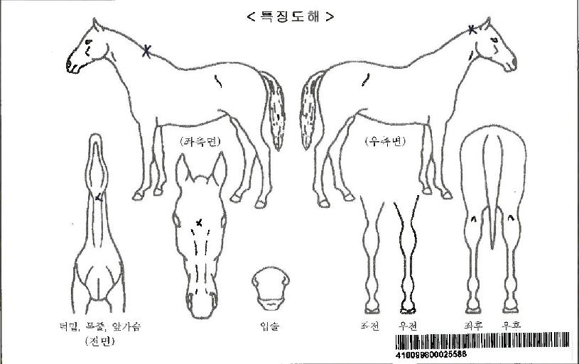 ����Ƽ�����ڸ��� ����,���,�޸�,�λ�,�ٸ��� Ư¡����