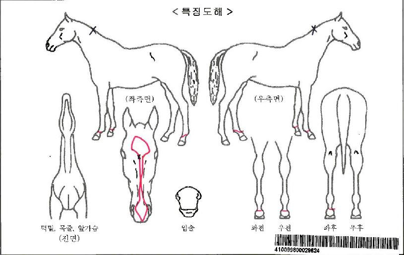 ���Ŀ��ڸ��� ����,���,�޸�,�λ�,�ٸ��� Ư¡����