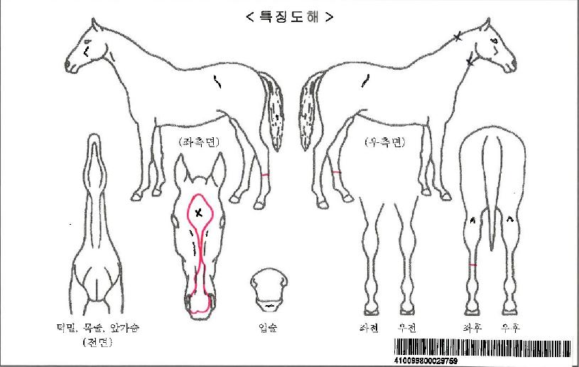 �ݺ������ڸ��� ����,���,�޸�,�λ�,�ٸ��� Ư¡����