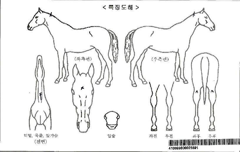 �����̽ÿ����ڸ��� ����,���,�޸�,�λ�,�ٸ��� Ư¡����