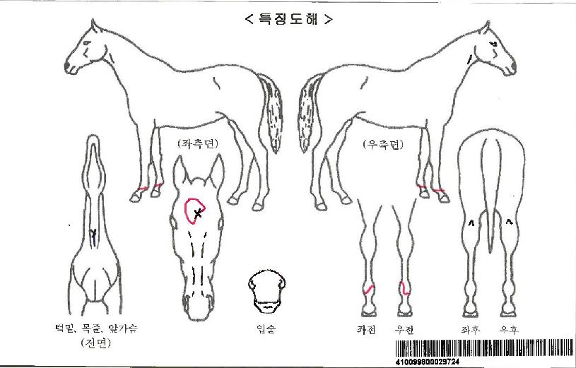 ������Ÿ�ڸ��� ����,���,�޸�,�λ�,�ٸ��� Ư¡����