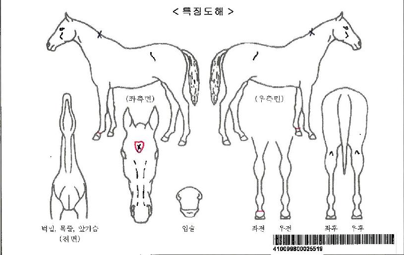 �������ڸ��� ����,���,�޸�,�λ�,�ٸ��� Ư¡����