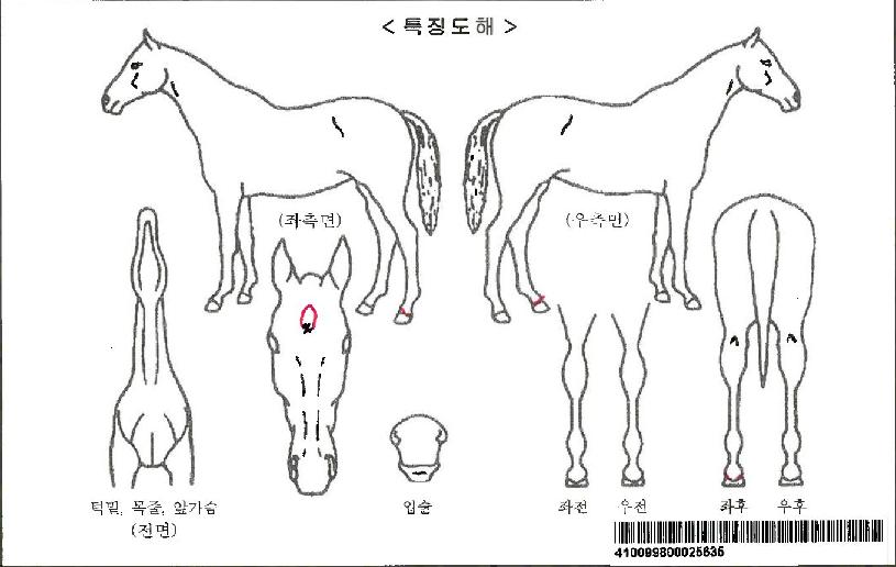 �޴Ͼ�����ڸ��� ����,���,�޸�,�λ�,�ٸ��� Ư¡����