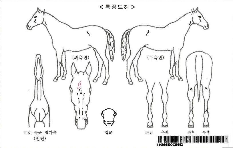 ÆÄÀ̵å¾îÅ×¾îÀÚ¸¶ÀÇ Ãø¸é,¿ì¸é,µÞ¸é,µÎ»ó,´Ù¸®ÀÇ Æ¯Â¡µµÇØ