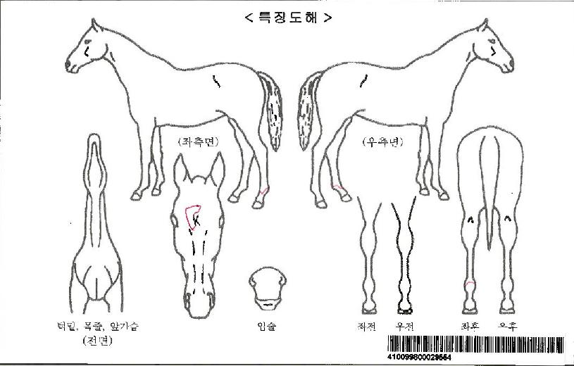 ��ġ�ڸ��� ����,���,�޸�,�λ�,�ٸ��� Ư¡����