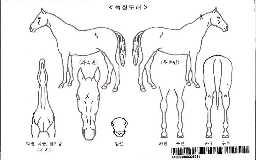 ��ŷ������ڸ��� ����,���,�޸�,�λ�,�ٸ��� Ư¡����