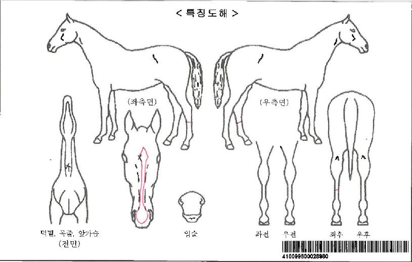 Äý¿ÀºêÇÏÃ÷ÀÚ¸¶ÀÇ Ãø¸é,¿ì¸é,µÞ¸é,µÎ»ó,´Ù¸®ÀÇ Æ¯Â¡µµÇØ