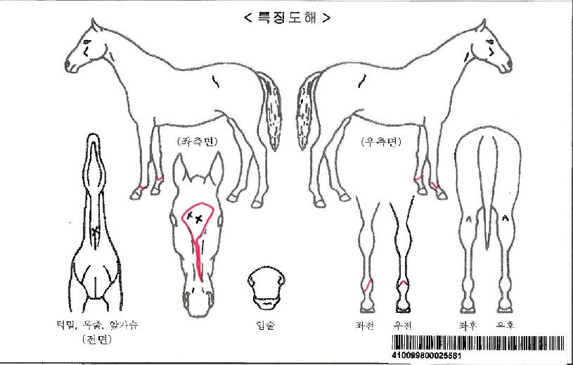 ��������Ʈ�ڸ��� ����,���,�޸�,�λ�,�ٸ��� Ư¡����