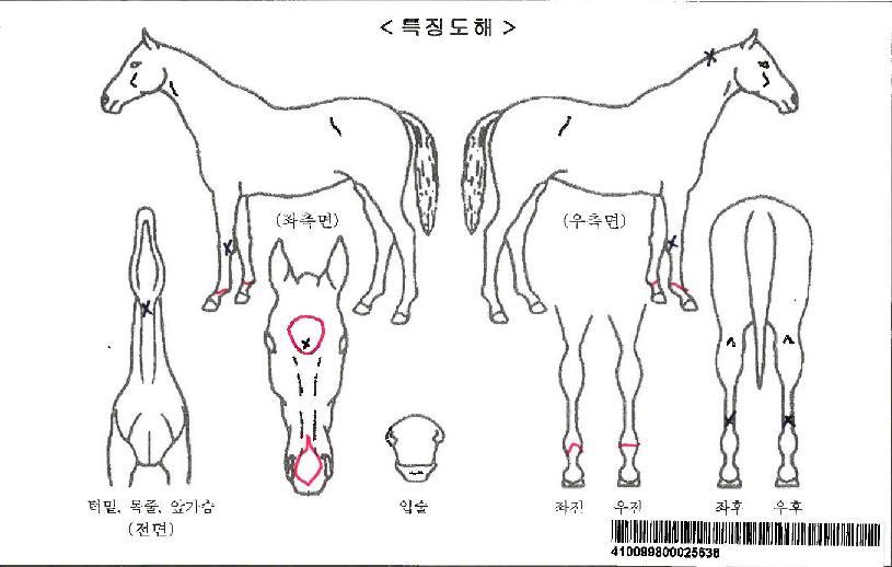 »õÅ͵¥À̳ªÀÌÆ®¶óÀÚ¸¶ÀÇ Ãø¸é,¿ì¸é,µÞ¸é,µÎ»ó,´Ù¸®ÀÇ Æ¯Â¡µµÇØ