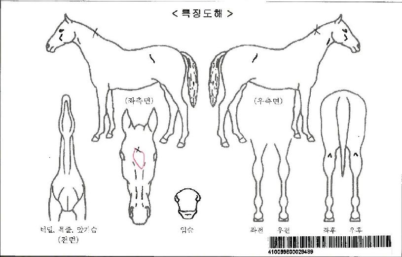 û����ũ�ڸ��� ����,���,�޸�,�λ�,�ٸ��� Ư¡����