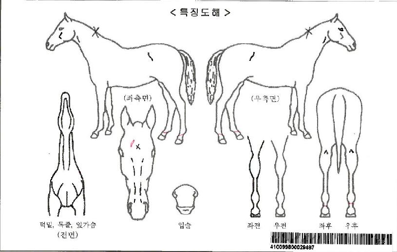 ��굵���ڸ��� ����,���,�޸�,�λ�,�ٸ��� Ư¡����