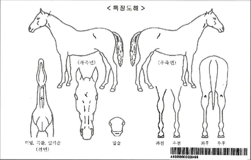 ���ڸ������ڸ��� ����,���,�޸�,�λ�,�ٸ��� Ư¡����