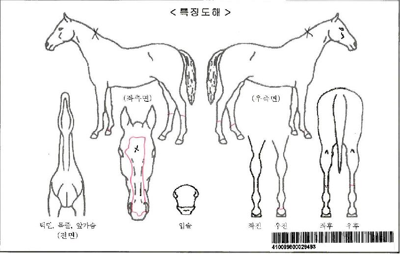 Æ®À§Æ¼ÆÄÀÌÀÚ¸¶ÀÇ Ãø¸é,¿ì¸é,µÞ¸é,µÎ»ó,´Ù¸®ÀÇ Æ¯Â¡µµÇØ