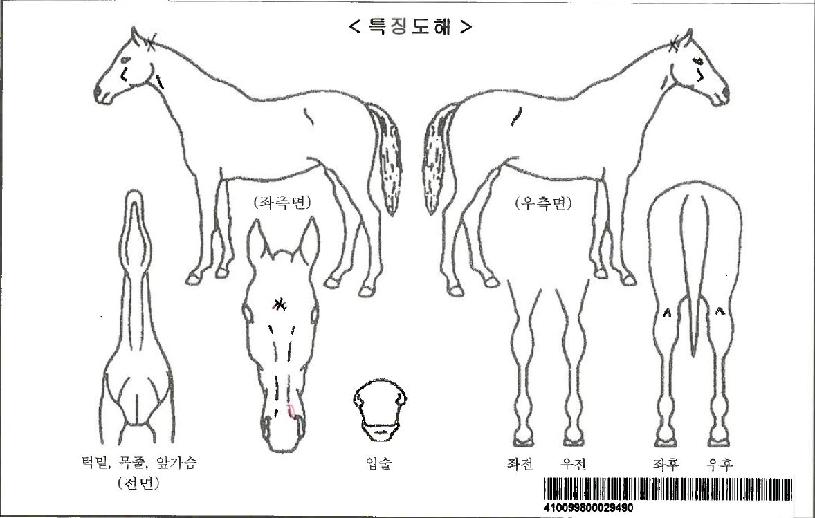 �º����ڸ��� ����,���,�޸�,�λ�,�ٸ��� Ư¡����