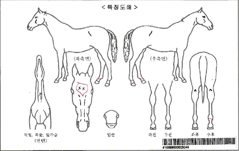 �赵��ȭ�ڸ��� ����,���,�޸�,�λ�,�ٸ��� Ư¡����