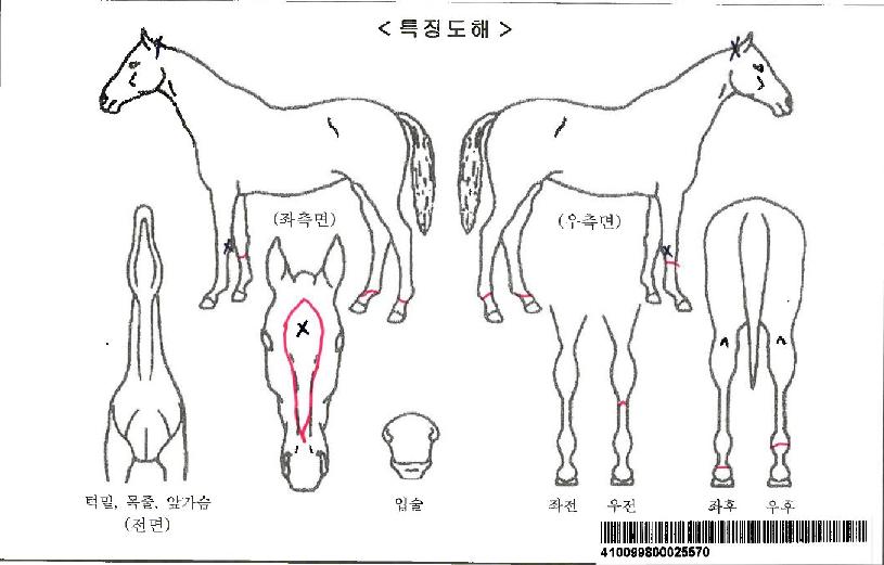 Å×ÀÌÅ©Æ÷¹ÐÁîÀÚ¸¶ÀÇ Ãø¸é,¿ì¸é,µÞ¸é,µÎ»ó,´Ù¸®ÀÇ Æ¯Â¡µµÇØ
