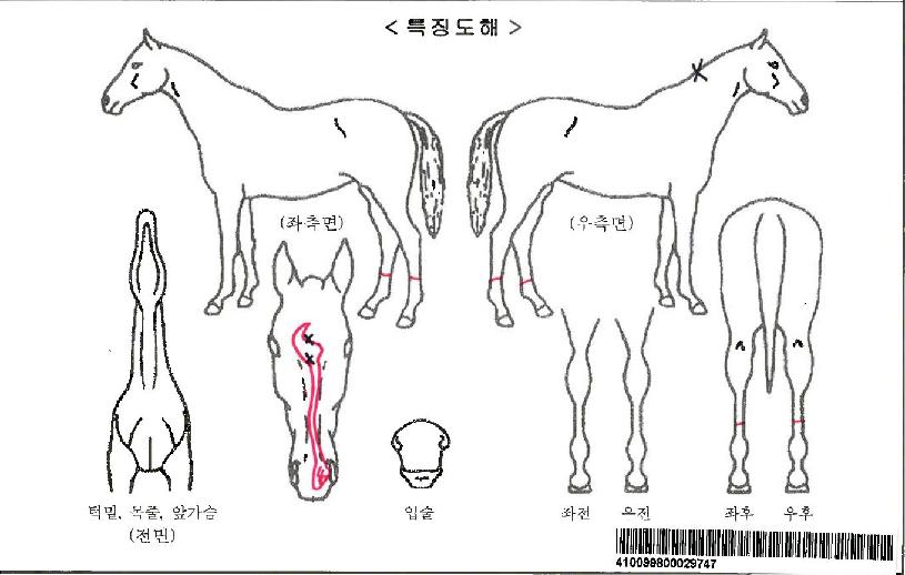 Æ÷Æ®½º´ö¼ÇÀÚ¸¶ÀÇ Ãø¸é,¿ì¸é,µÞ¸é,µÎ»ó,´Ù¸®ÀÇ Æ¯Â¡µµÇØ
