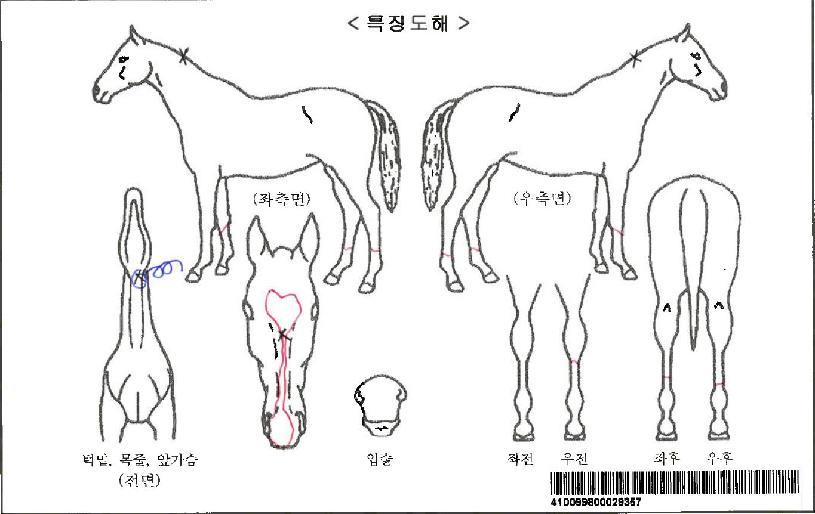 ƼÁî¿¥ÇÁ¸®½ºÀÚ¸¶ÀÇ Ãø¸é,¿ì¸é,µÞ¸é,µÎ»ó,´Ù¸®ÀÇ Æ¯Â¡µµÇØ