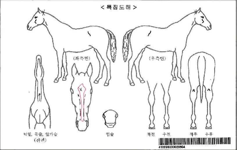 ��������ڸ��� ����,���,�޸�,�λ�,�ٸ��� Ư¡����