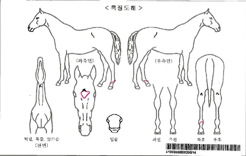 ��ʽ�����Ƽ�ڸ��� ����,���,�޸�,�λ�,�ٸ��� Ư¡����