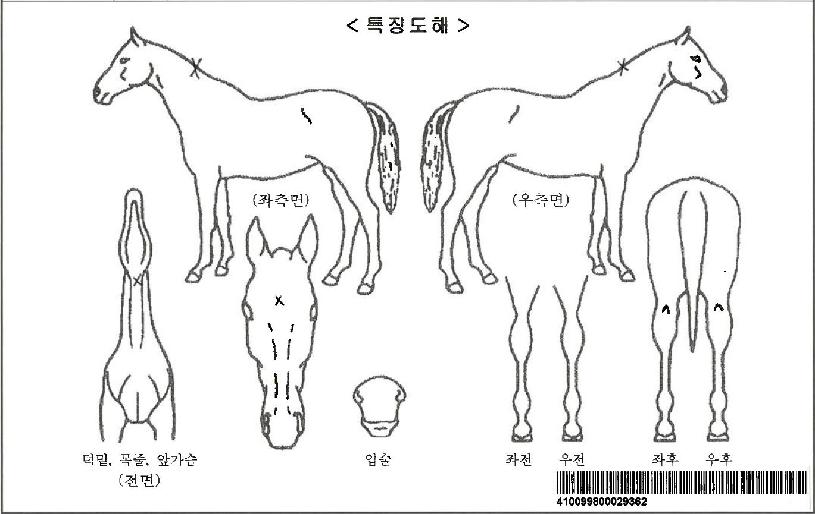 ����Ŭ�����ڸ��� ����,���,�޸�,�λ�,�ٸ��� Ư¡����