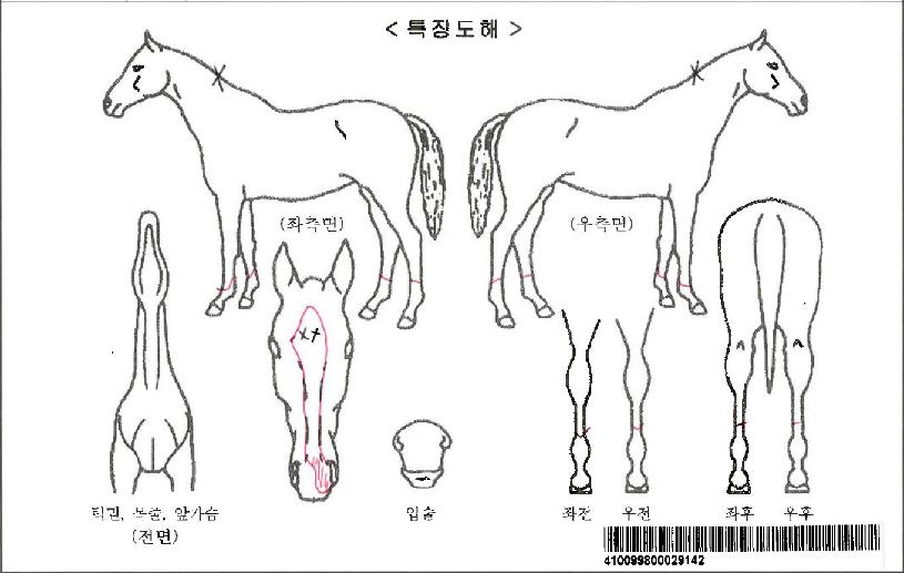 �Ϳ�Ĺ�ڸ��� ����,���,�޸�,�λ�,�ٸ��� Ư¡����