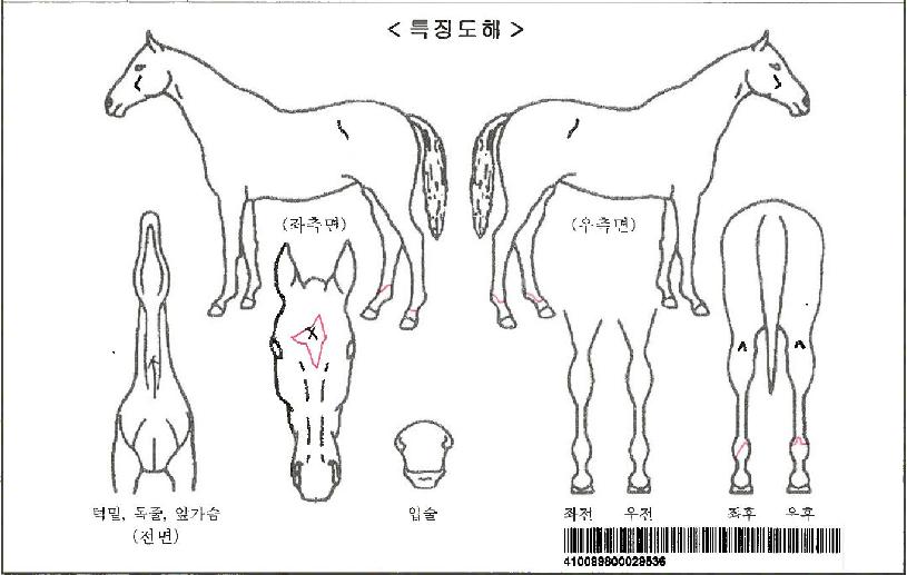 ���̵���������ڸ��� ����,���,�޸�,�λ�,�ٸ��� Ư¡����