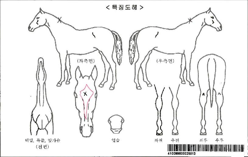 ĵµé½ºÆ½¸ÞÀÌÄ¿ÀÚ¸¶ÀÇ Ãø¸é,¿ì¸é,µÞ¸é,µÎ»ó,´Ù¸®ÀÇ Æ¯Â¡µµÇØ