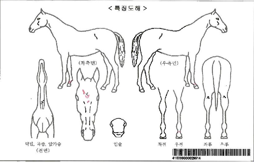 �ŵ��Ŀ��ڸ��� ����,���,�޸�,�λ�,�ٸ��� Ư¡����