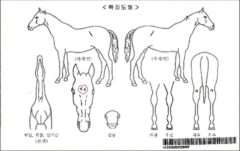 ��������ڸ��� ����,���,�޸�,�λ�,�ٸ��� Ư¡����