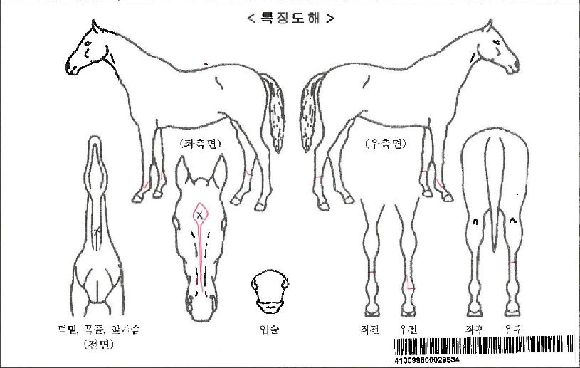 ����ع��Ʈ���ڸ��� ����,���,�޸�,�λ�,�ٸ��� Ư¡����