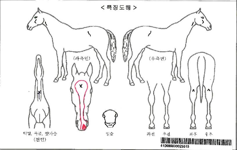 »óÇÏÀÌ¹ÎÆ®ÀÚ¸¶ÀÇ Ãø¸é,¿ì¸é,µÞ¸é,µÎ»ó,´Ù¸®ÀÇ Æ¯Â¡µµÇØ