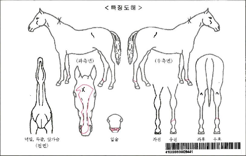 ±×·¹ÀÌÆ®¿£Á©ÀÚ¸¶ÀÇ Ãø¸é,¿ì¸é,µÞ¸é,µÎ»ó,´Ù¸®ÀÇ Æ¯Â¡µµÇØ