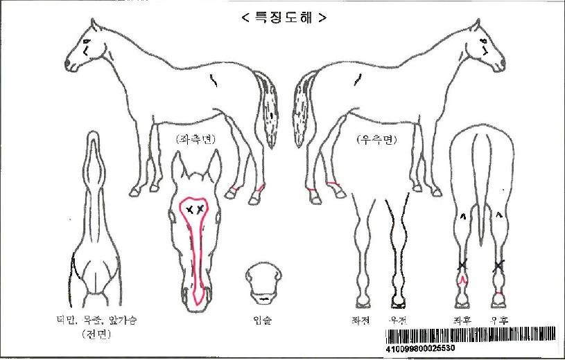 ����������ڸ��� ����,���,�޸�,�λ�,�ٸ��� Ư¡����