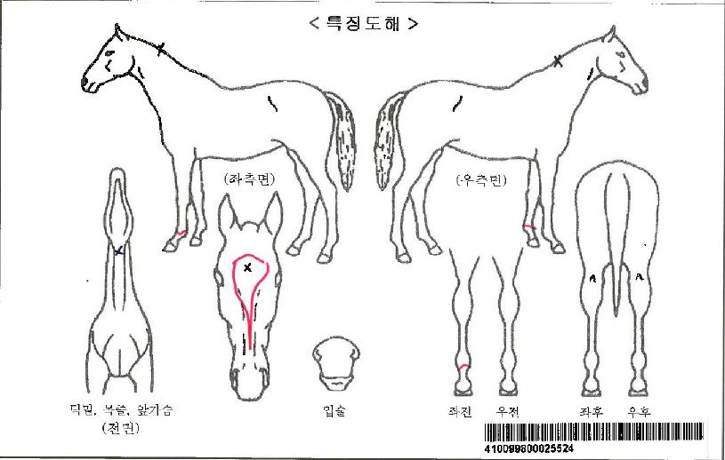 �Ŀ�Ǯ�����ڸ��� ����,���,�޸�,�λ�,�ٸ��� Ư¡����