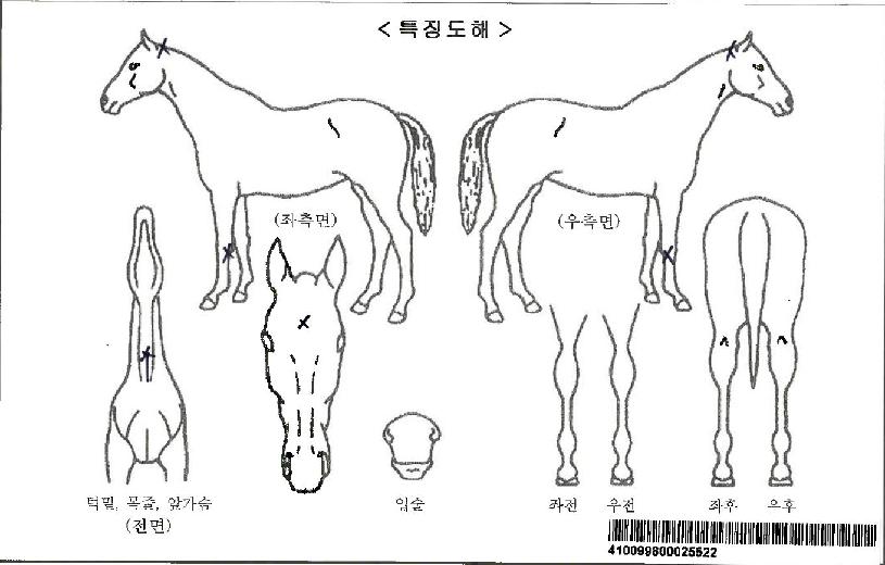 ����Ŀ��ڸ��� ����,���,�޸�,�λ�,�ٸ��� Ư¡����