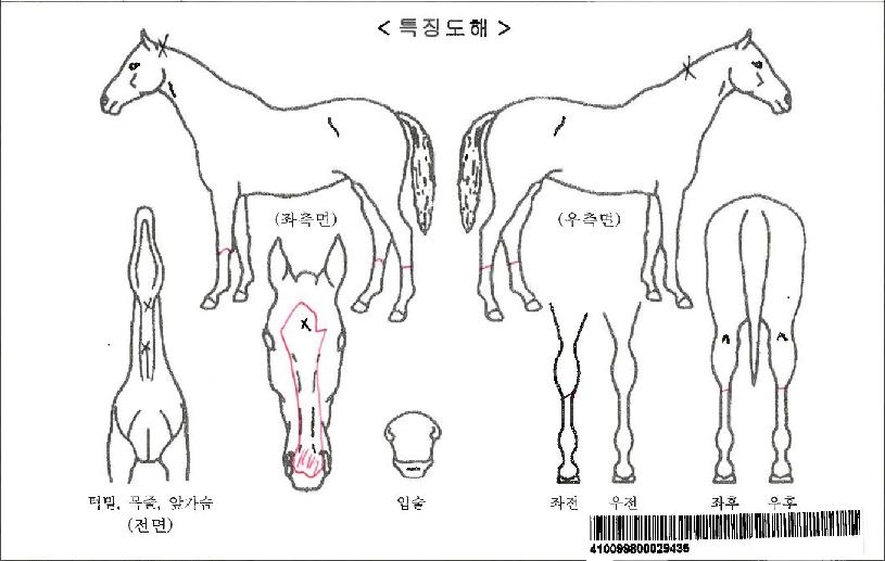 �ҳ�Ÿ���ڸ��� ����,���,�޸�,�λ�,�ٸ��� Ư¡����