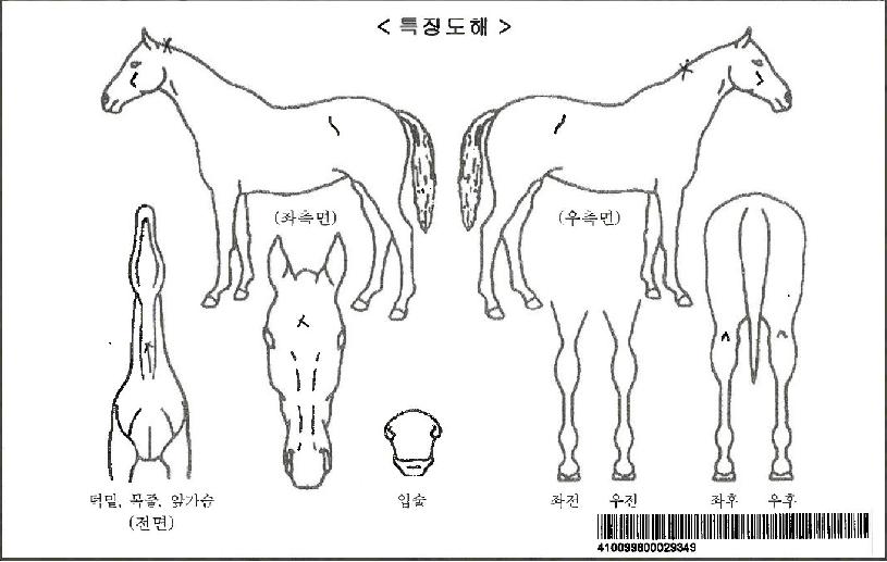 �������ڸ��� ����,���,�޸�,�λ�,�ٸ��� Ư¡����