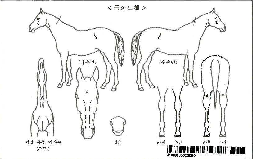 ����õ���ڸ��� ����,���,�޸�,�λ�,�ٸ��� Ư¡����