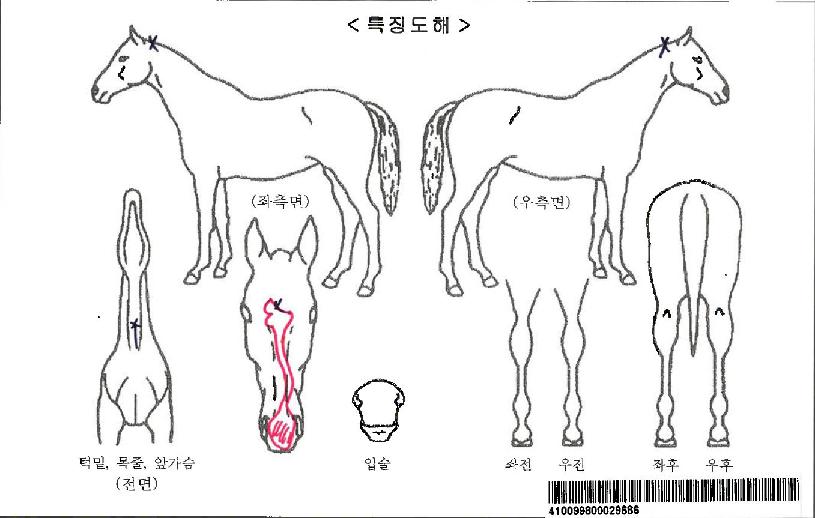 ����Ӵ��ڸ��� ����,���,�޸�,�λ�,�ٸ��� Ư¡����