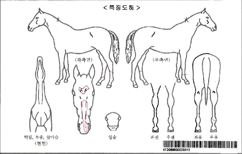 ¹öÅÍÇöóÀÌÀÚ¸¶ÀÇ Ãø¸é,¿ì¸é,µÞ¸é,µÎ»ó,´Ù¸®ÀÇ Æ¯Â¡µµÇØ