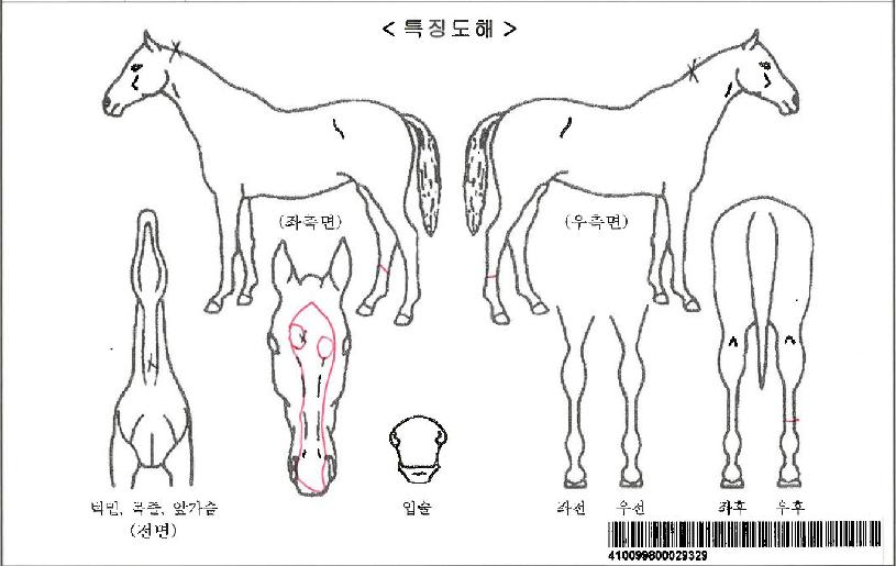 ���������ڸ��� ����,���,�޸�,�λ�,�ٸ��� Ư¡����