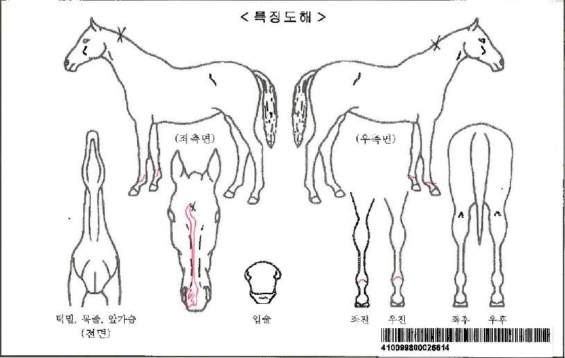 Ŭ·¹ÀÌ»ç°ÝÀÚ¸¶ÀÇ Ãø¸é,¿ì¸é,µÞ¸é,µÎ»ó,´Ù¸®ÀÇ Æ¯Â¡µµÇØ