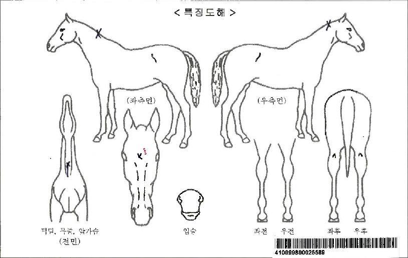�׷���Ʈ�����ڸ��� ����,���,�޸�,�λ�,�ٸ��� Ư¡����