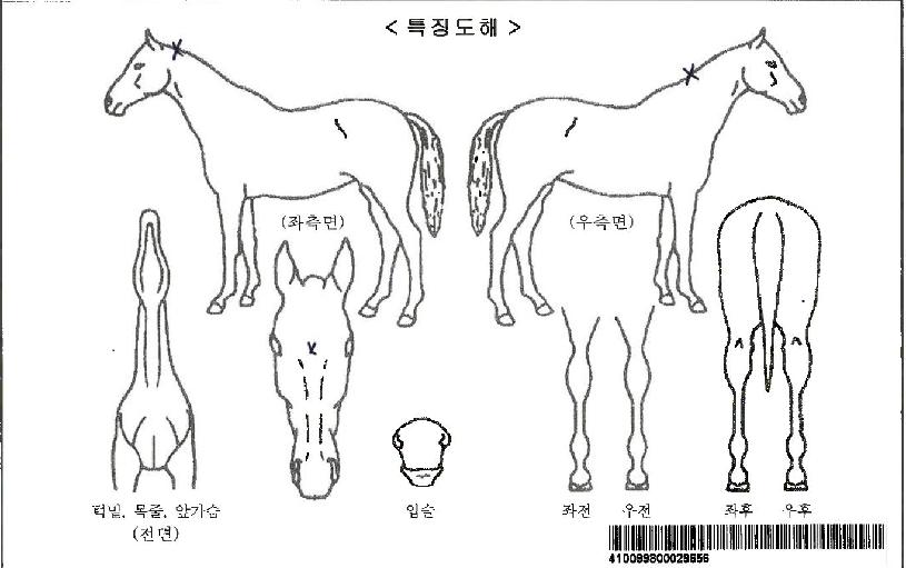 ���������ڸ��� ����,���,�޸�,�λ�,�ٸ��� Ư¡����